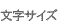 �����T�C�Y